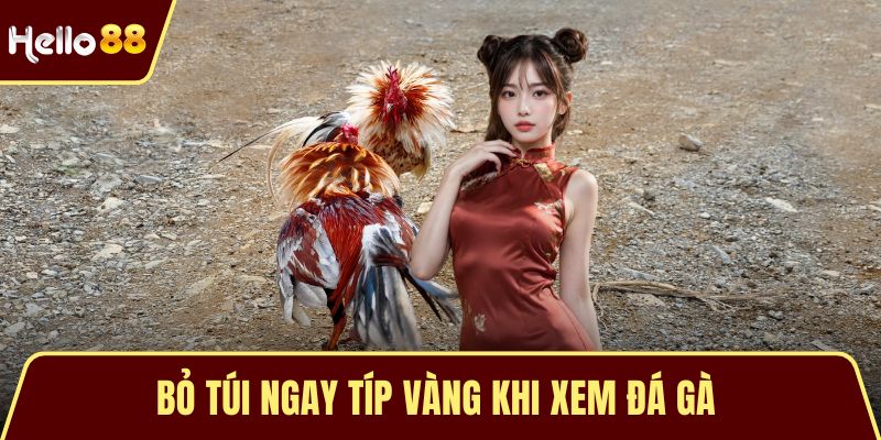 Trải Nghiệm Xem Đá Gà HELLO88 – Đỉnh Cao Của Cảm Xúc Bỏ túi ngay típ vàng khi xem đá gà