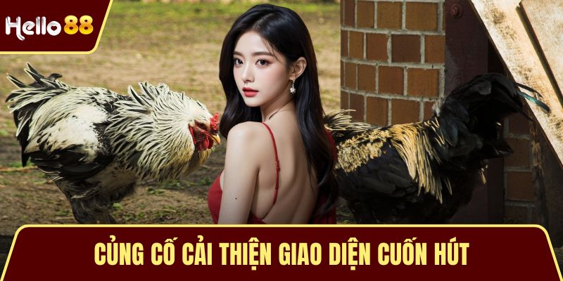 Trải Nghiệm Xem Đá Gà HELLO88 – Đỉnh Cao Của Cảm Xúc Củng cố cải thiện giao diện cuốn hút