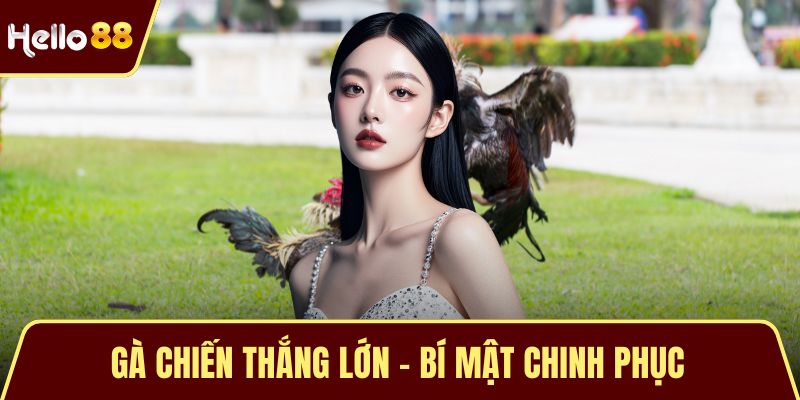 Gà Chiến Thắng Lớn - Bí Mật Chinh Phục Đấu Trường Thomo Gà Chiến Thắng Lớn - Bí Mật Chinh Phục Đấu Trường Thomo