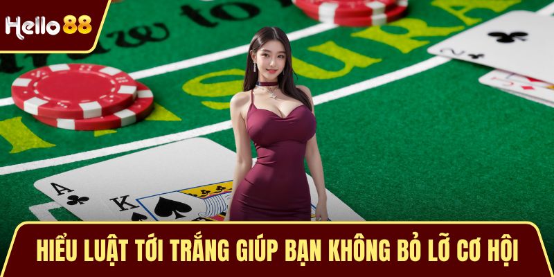 Bài Catte Ăn Tiền Và Cách Chơi Từ A Đến Z Dành Cho Newbie Hiểu luật tới trắng giúp bạn không bỏ lỡ cơ hội