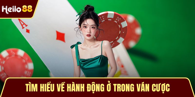 Blackjack - Game Bài Chiến Thuật Đỉnh Cao Được Yêu Thích Tìm hiểu về hành động ở trong ván cược